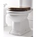 SAPHO RETRO 109340 WC sedátko, polyester, orech / bronz