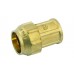 GEBO BI Spojka priamá vnútorný závit 25 mm x 3/4" 315012502