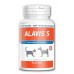ALAVIS 5