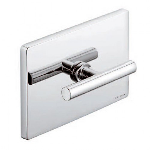 KLUDI New Waves WC ovládacie doska chróm 579900530 KLUDI New Waves WC ovládacie doska chróm 579900530