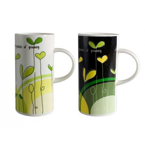 BANQUET Hrnček Modern Plants 2assorted 60H0682