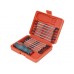 EXTOL PREMIUM skrutkovač s obojstrannými 1/4 "hrotmi, sada 13ks 8819107