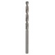 BOSCH Vrtáky do kovov HSS-G, DIN 338, 4,2 x 43 x 75 mm 2608585918
