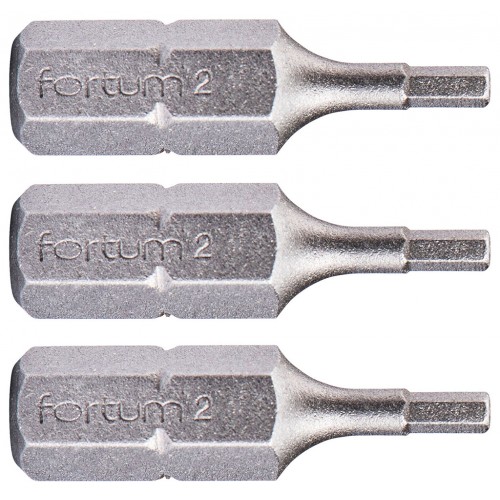FORTUM hrot imbus sada 3ks, H 2x25mm, S2 4741502 FORTUM hrot imbus sada 3ks, H 2x25mm, S2 4741502