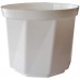 PLASTKON Dekoratívny kvetináč Rosa 22 cm biela