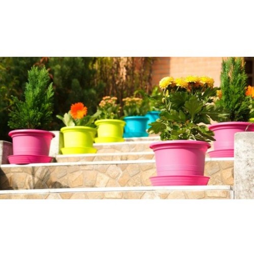 PLASTKON Kvetináč Campanula 28 cm hráškovo zelená PLASTKON Kvetináč Campanula 28 cm hráškovo zelená