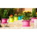 PLASTKON Kvetináč Campanula 28 cm hráškovo zelená