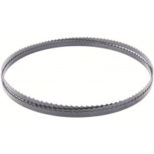 Scheppach Pílový pás pre HBS 25/HBS 20/HBS 30 (1400mm / 6.4mm / 0.35mm / 4Z/Z) 7901502605