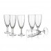 ANQUET Alesia Sada pohárov na sekt 145 ml, 6 ks 05820120