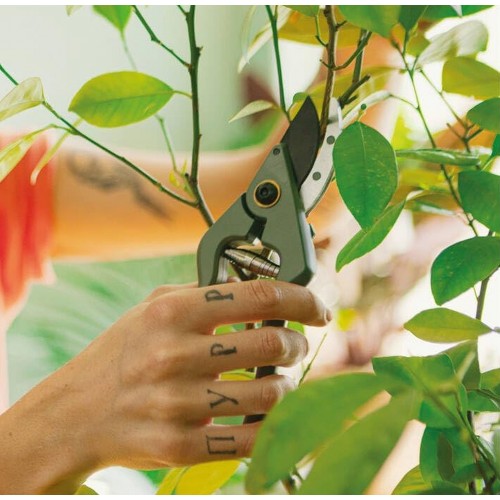 Fiskars Plant Care Záhradné nožnice s puzdrom, 20cm 1075314