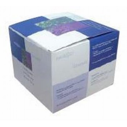 GBG aromaterapie GBG aromaterapie