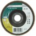 HiKOKI 4100116 Brúsny lamelový kotúč na nerez a kov 125x22, 23mm, Z40