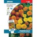 JOHNSONS Aksamietnica "French dward double mixed" 10155