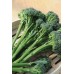 JOHNSONS Brokolica (TENDERSTEM) INSPIRATION F1 22977