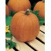 JOHNSONS Tekvica NEW ENGLAND PIE 23007