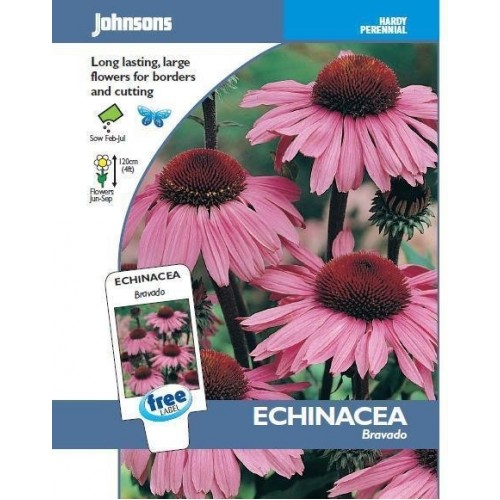 JOHNSONS Echinacea "Bravado" 15958