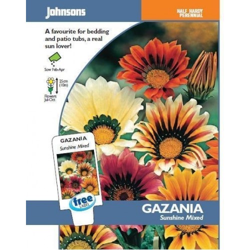 JOHNSONS gazania "Sunshine Mixed" 11620 JOHNSONS gazania "Sunshine Mixed" 11620
