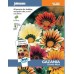 JOHNSONS gazania "Sunshine Mixed" 11620