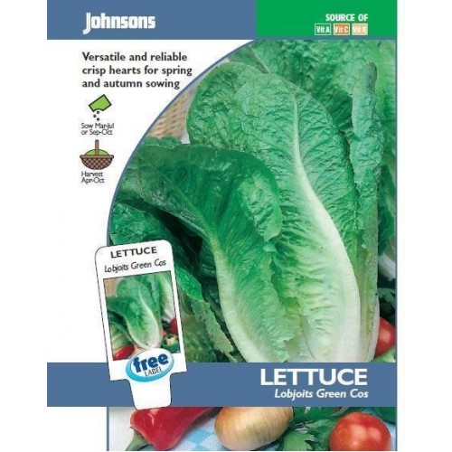 JOHNSONS Hlávkový šalát "Lobjoits Green Cos" 10089 JOHNSONS Hlávkový šalát "Lobjoits Green Cos" 10089