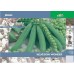 JOHNSONS Hrach "Kelvedon wonder early" 11210