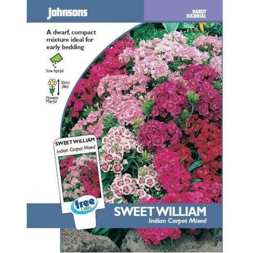 JOHNSONS Hvozdík "Indian Carpet Mixed" 12403