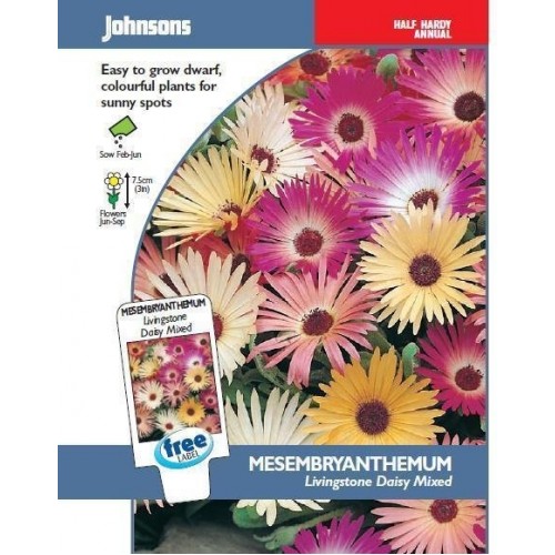 JOHNSONS kosmatec "Livingstone Daisy Mixed" 16283