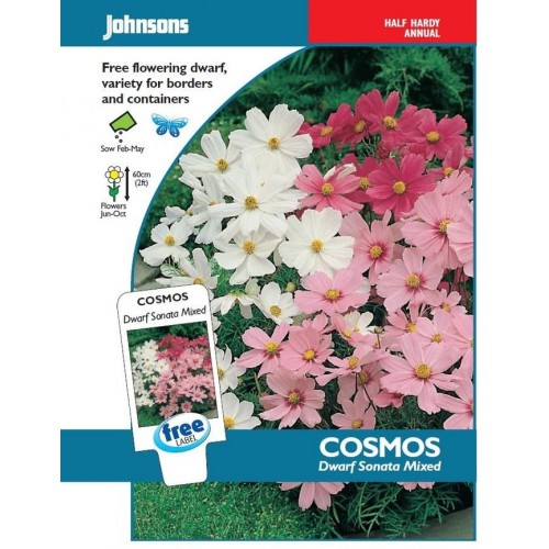 JOHNSONS marhuľa "Dwarf sonata mixed" 16087 JOHNSONS marhuľa "Dwarf sonata mixed" 16087