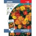 JOHNSONS marhuľa "Ladybird Mixed" 13604