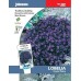 JOHNSONS Lobelka "Crystal Palace" 13338