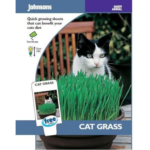 JOHNSONS Ovos "Cat grass" 11147 JOHNSONS Ovos "Cat grass" 11147