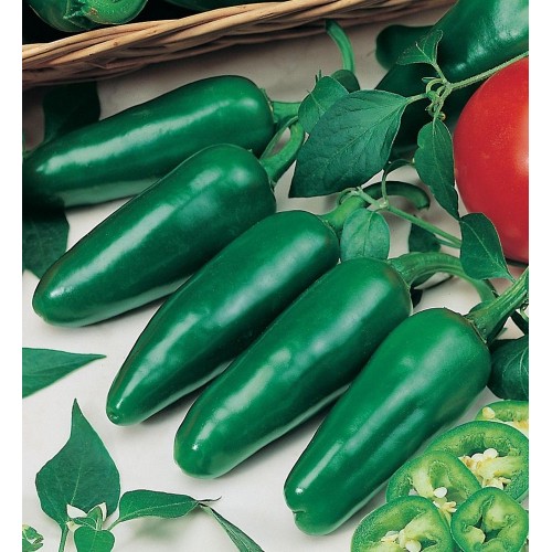 JOHNSONS Paprika HOT Jalapeno 22995 JOHNSONS Paprika HOT Jalapeno 22995