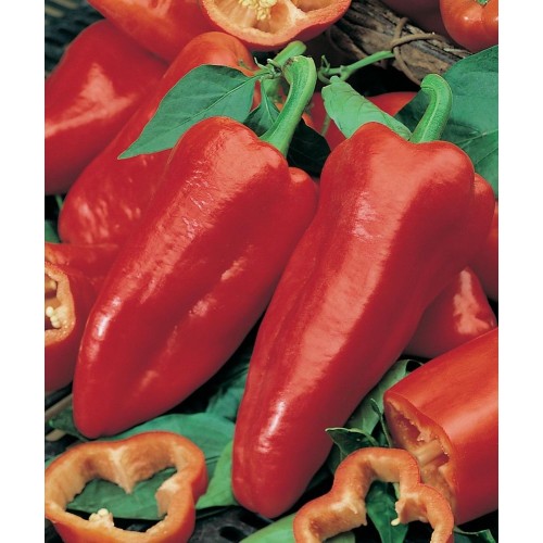 JOHNSONS Paprika SWEET ROMANO 22985