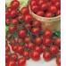 JOHNSONS Paradajka CHIPANO F1 23005