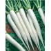 JOHNSONS Reďkovka daikon Mool MINOWASE NR 2 22991