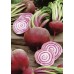 JOHNSONS Repa CHIOGGIA 22975