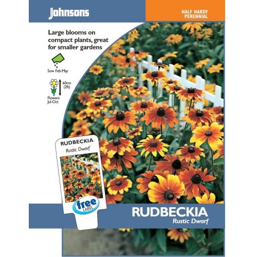 JOHNSONS Echinacea "Rustic Dwarf" 11499