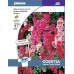 JOHNSONS Žiarivka "Azalea double mixed" 11015