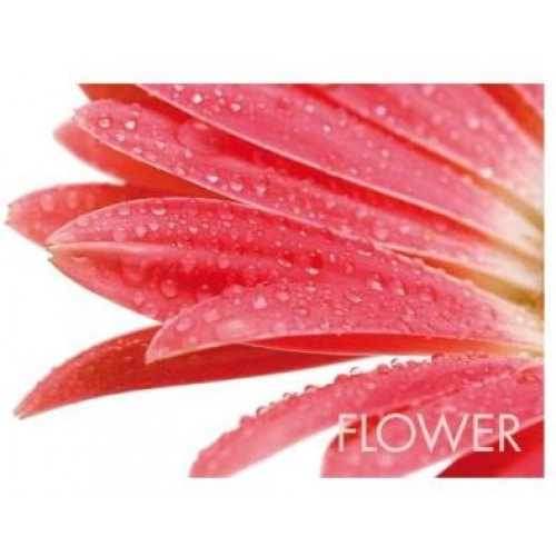 KELA Prestieranie PICTURE červený kvet KL-15039