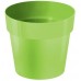 PROSPERPLAST IML kvetináč bez potlače 12 cm, limetka DR120