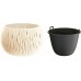 Prosperplast SANDY Bowl kvetináč 14cm, 0,75l, krémová DSK150