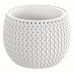 Prosperplast SPLOFY Bowl Kvetináč 18cm, 1,4l, biela DKSP180
