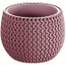 Prosperplast SPLOFY Bowl kvetináč 18cm, 1,4l, svetlofialový DKSP180