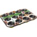 LAMART BASE Forma na muffiny LT3022, 35x26cm, zelená, 42000308