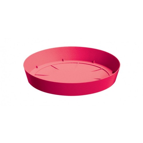 PROSPERPLAST LOFLY miska pod kvetináč 10,5x1,5cm, malina PPLF105 PROSPERPLAST LOFLY miska pod kvetináč 10,5x1,5cm, malina PPLF105