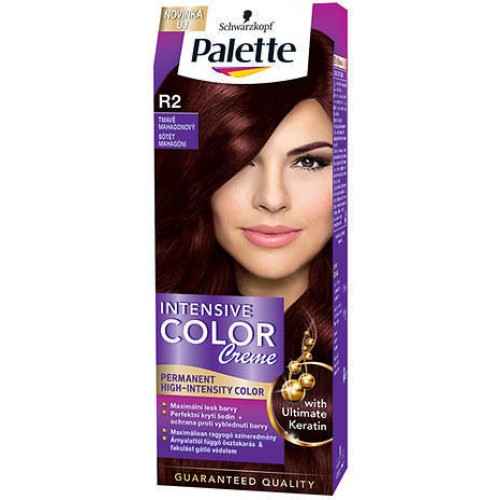 PALETTE ICC R2 Farba na vlasy tmavo mahagónový