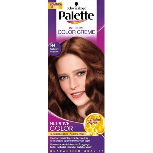 PALETTE ICC R4 Farba na vlasy gaštanová