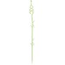 Prosperplast DECOR podpera pre orchidea 55cm, zelená ISTC02