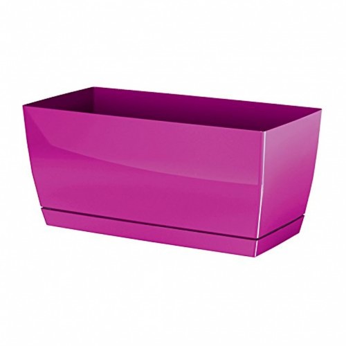 PROSPERPLAST COUBI Truhlík s miskou 24x12x11cm, 2,5l, fuchsie-lesk DUPP240 PROSPERPLAST COUBI Truhlík s miskou 24x12x11cm, 2,5l, fuchsie-lesk DUPP240