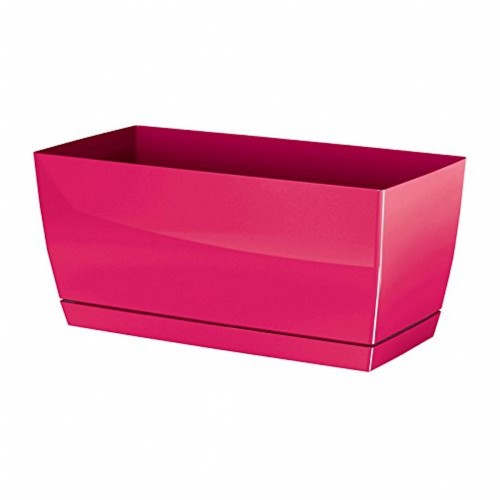 PROSPERPLAST COUBI Truhlík s miskou 24x12x11cm, 2,5l, malina-lesk DUPP240 PROSPERPLAST COUBI Truhlík s miskou 24x12x11cm, 2,5l, malina-lesk DUPP240