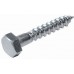 RABOVSKÝ Vrut šesťhranná hlava 6x60 mm 52006060